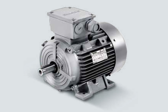 1LE0003系列超高效低壓三相異步電動機