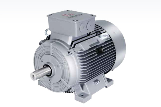 1MB0013系列低壓粉塵防爆電機