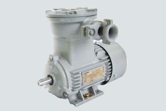 1MB0061隔爆型三相異步電動機（BT4)